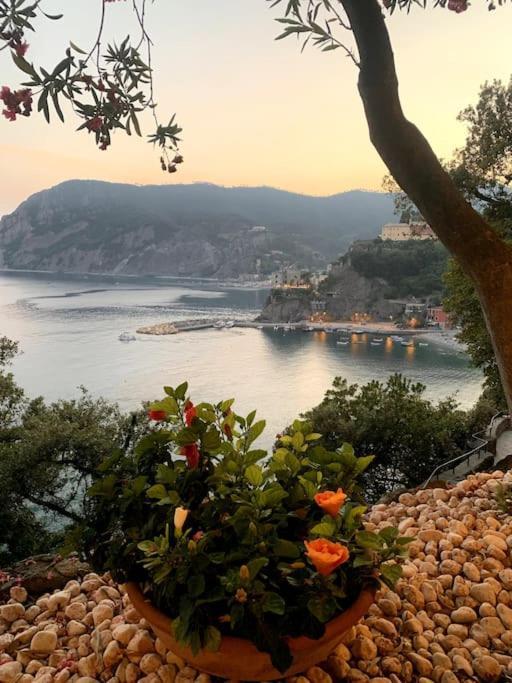Historic Downtown Home By The Sea With King Bed Monterosso al Mare Eksteriør billede