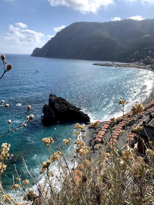 Historic Downtown Home By The Sea With King Bed Monterosso al Mare Eksteriør billede